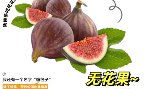 甲亢用药禁忌大全专区_甲亢吃药忌口什么专区_甲亢患者用药禁忌网