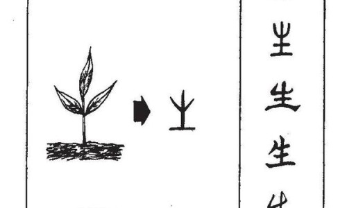 甲亢用药禁忌大全-甲亢用药禁忌大全专区_甲亢吃药忌口什么专区_甲亢患者用药禁忌网